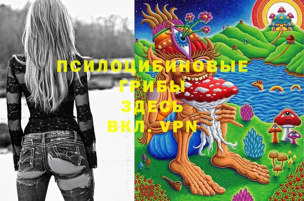 спайс Алзамай