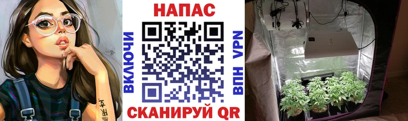Каннабис THC 21%  Духовщина 
